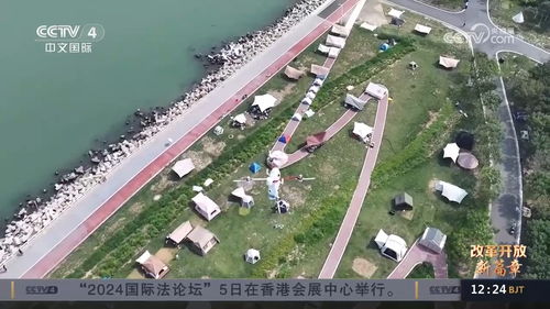 南京玄武湖惊现野猪横渡，生态恢复与城市共融的见证