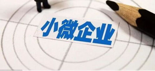 什么是小型微利企业？