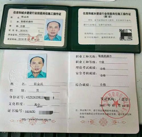 从准备材料到领取证件的全方位指南
