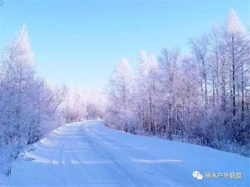 大雪后东北小孩的三室一厅发现