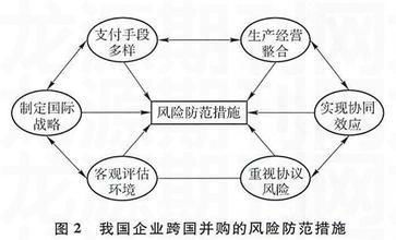 风险与应对策略