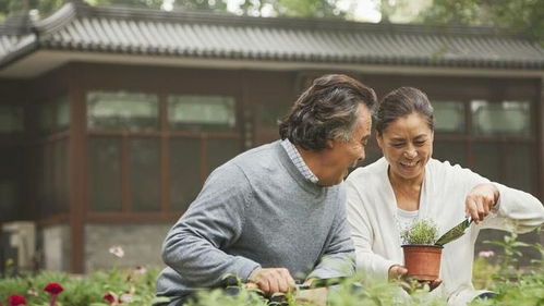 为农民晚年生活撑起一片天