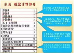 一般纳税人报税流程详解及实用指南