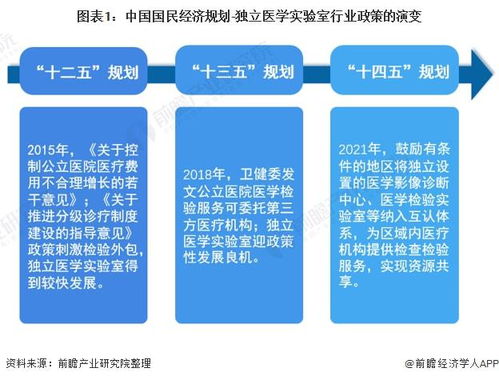 政策解读与未来展望