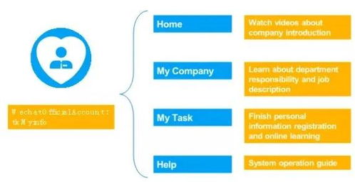 新员工入职流程全解析，如何顺利融入公司，快速上手工作