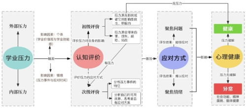 软件进口关税，影响、机制与应对策略