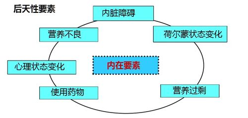 解读化妆品代理合同的关键要素与注意事项