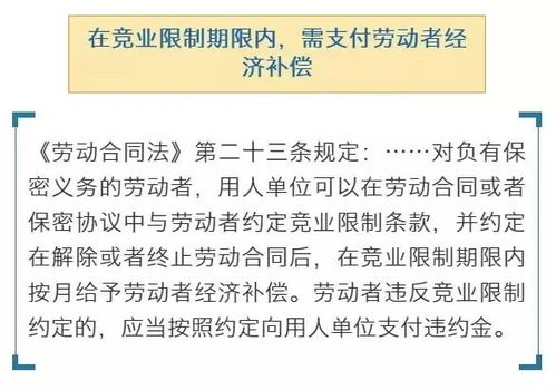 掌握销售合同样本，如何保障商业交易中的权益与合作