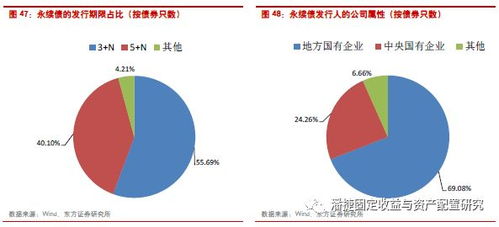 公司债发行主体，企业融资的金融桥梁