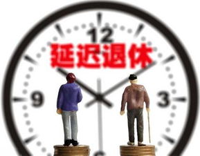 处级女干部退休年龄，理解其重要性、应用场景及潜在影响