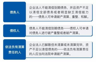 深入解析所得税清算，从概念到实践的全方位指南