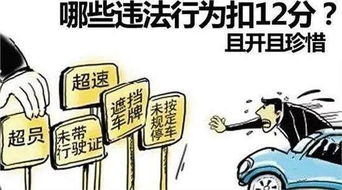 掌握你的骑行资格，安全无忧上路