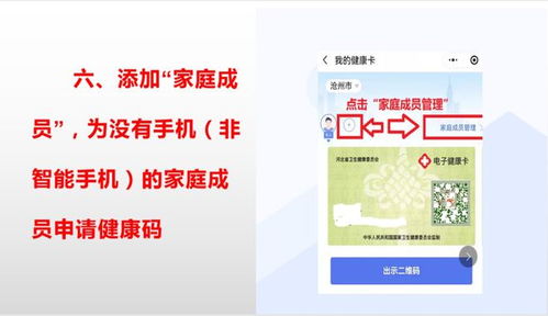 健康证检查项目全解析，保障个人与公共健康的必经之路