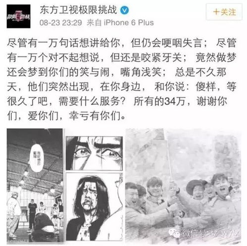 真相与挑战