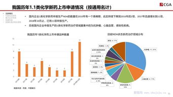 构建稳健发展的基石