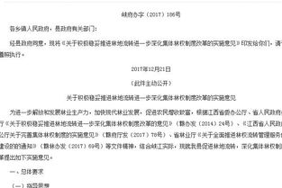林地承包合同全解析，从条款到实践，掌握关键要点
