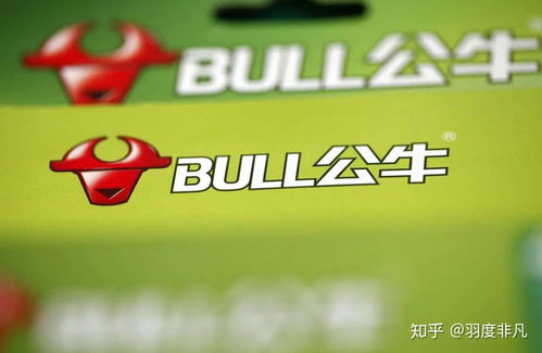 充电宝公司494名员工年入超百万，时代的缩影与启示