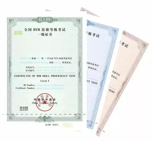 登记证书编号是什么？——理解与应用的全面解析