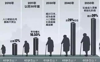 老人再就业，简历背后的价值与挑战