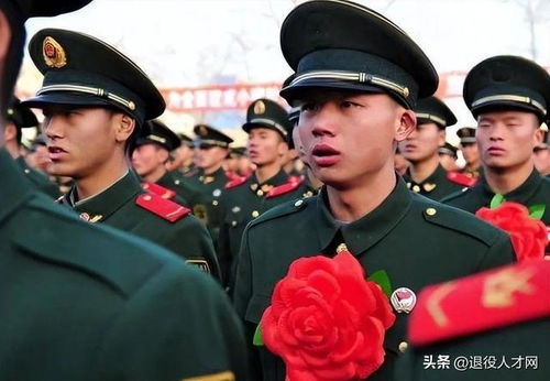退伍安置条例，为退役军人提供新生活的桥梁