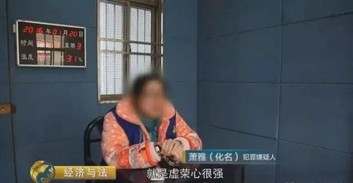 广西一号传销大案解析，揭开传销犯罪的神秘面纱