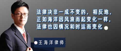 当律师遇到律师，专业咨询的重要性与实践