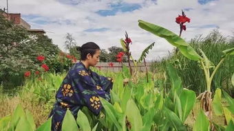 植物界的旅行家，揭秘植物种子的传播奥秘