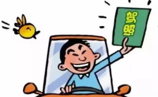 异地违章处理全攻略，轻松应对不慌张