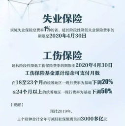 什么是社保，全面解读社会保障体系