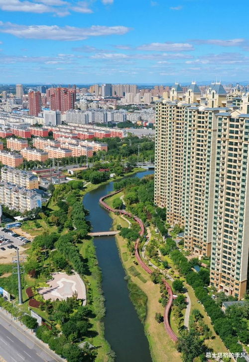 东莞市建设局，推动城市发展，构建宜居家园