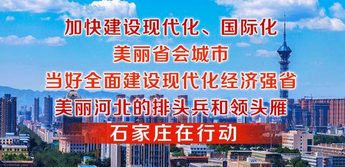 安阳道路交通安全协会，守护城市动脉，共创和谐交通