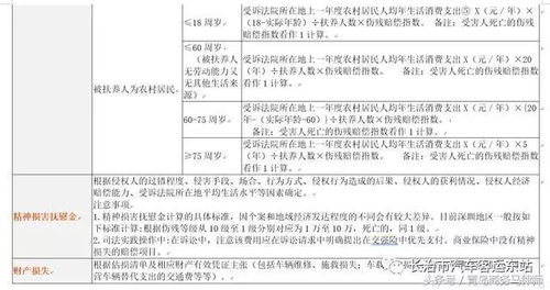 交通事故案例分析，深入理解事故原因与预防策略