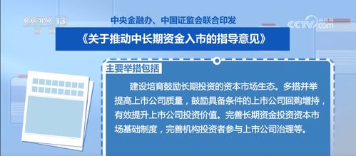 证券法的基本原则，构建资本市场的基石