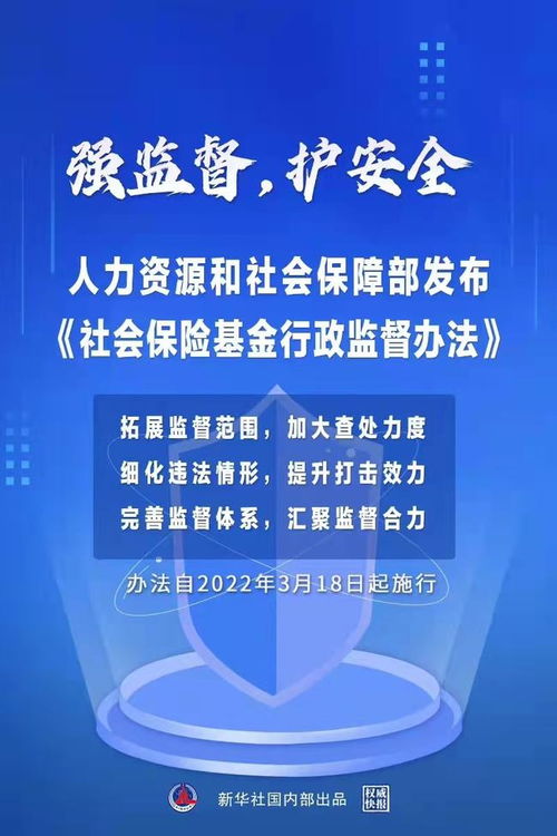 行政监督，维护法治与提升政府效能的关键