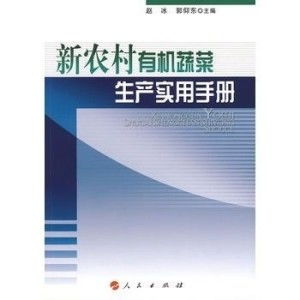 深入解析，车损险的全面解读与实用指南