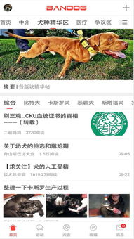 猛犬俱乐部论坛，揭秘犬类爱好者的线上圣地