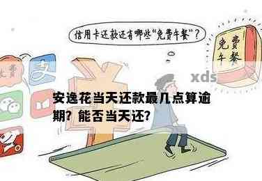 深入了解滞纳金，计算方法与避免策略