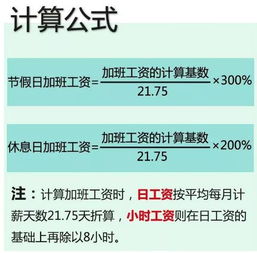 深入了解滞纳金，计算方法与避免策略