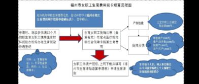 生育保险报销流程，详细指南与实用建议