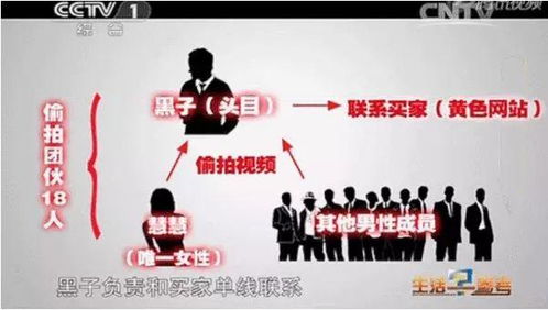 探索成人影片下载网站的奥秘，安全、隐私与责任