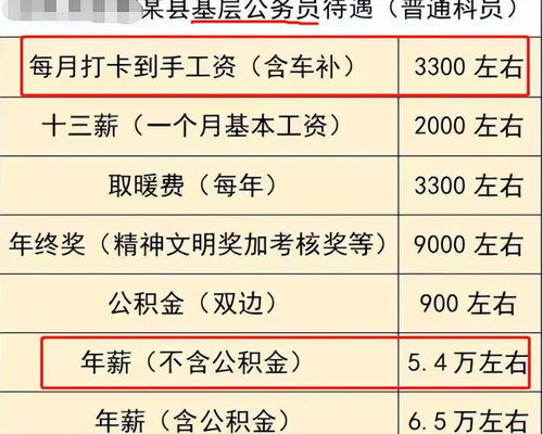 公务员辞职，权衡利弊与职业转型的深思熟虑