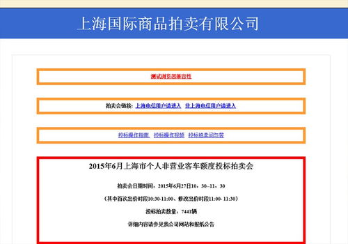 上海汽车牌照拍卖，流程、策略与未来趋势