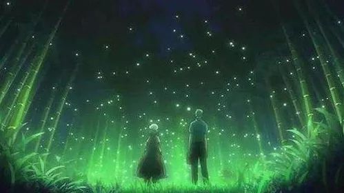 夜幕下的舞者，揭秘萤火虫的神秘光芒