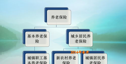 农民如何缴纳养老保险，政策解读与实用指南