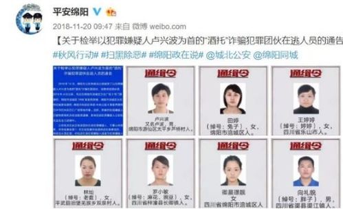 追踪与正义，深入了解公安网通缉犯的背后故事