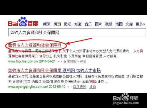 您的未来保障，深入了解养老保险账户金额的重要性