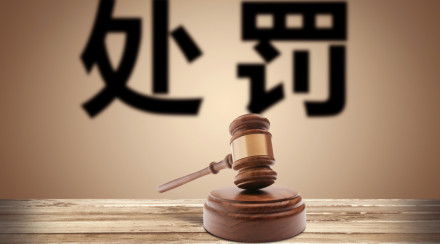 扰乱公共秩序罪，法律边界与社会和谐的维护