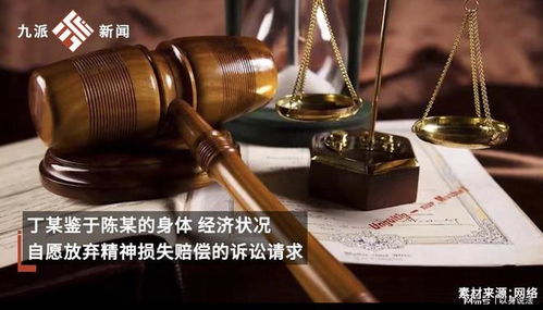 民事诉讼律师，您的权利守护者