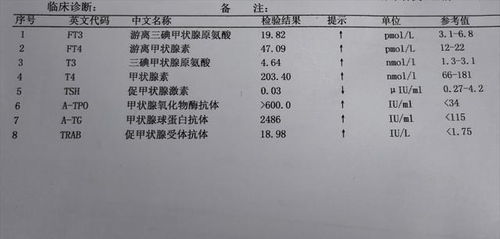 了解正常体温，健康指标的基石