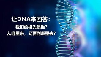 探索DNA鉴定的奥秘，费用、应用与影响